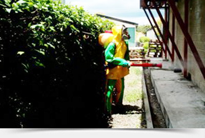 fumigaciones