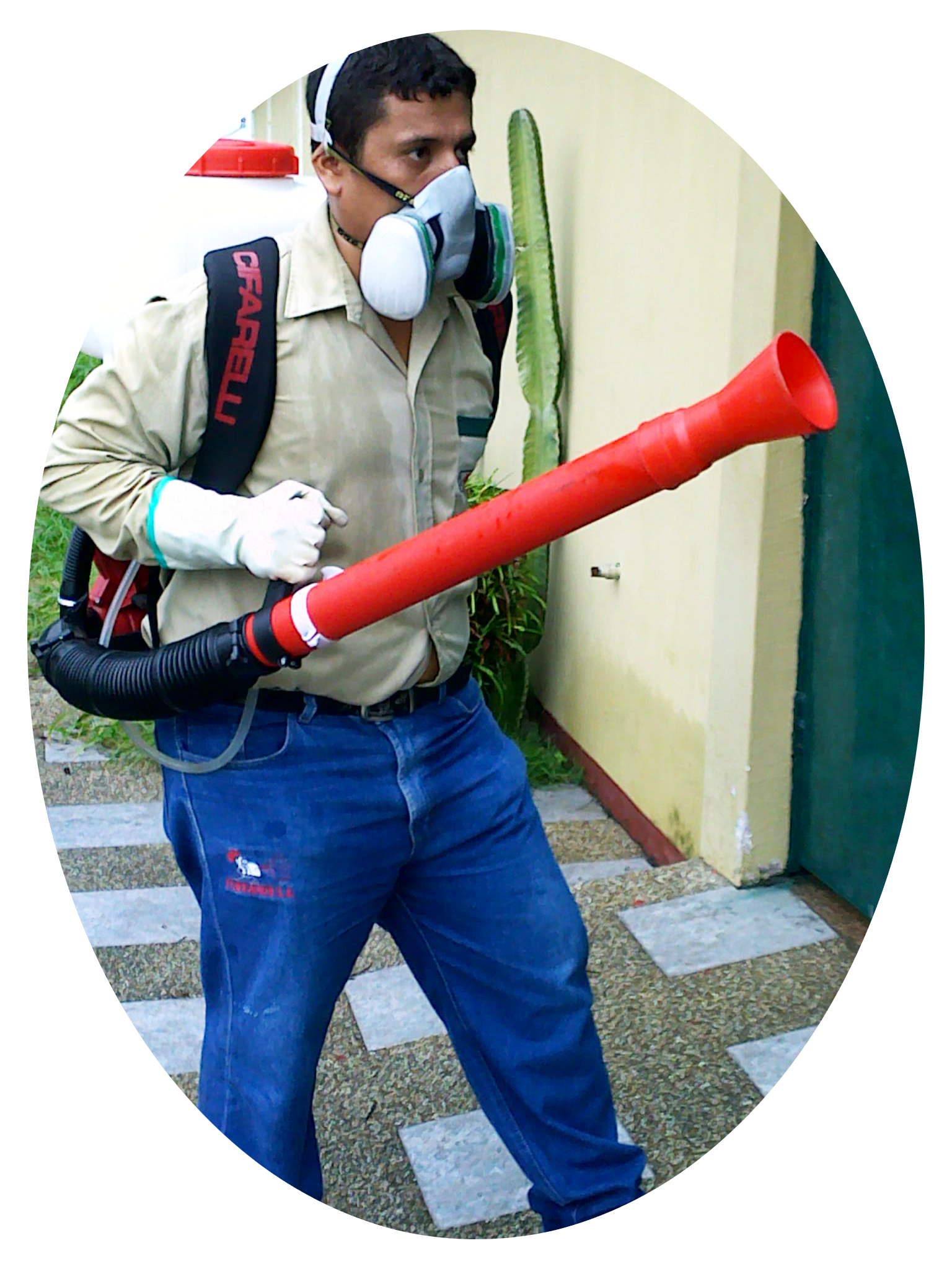 tecnico-fumigacion